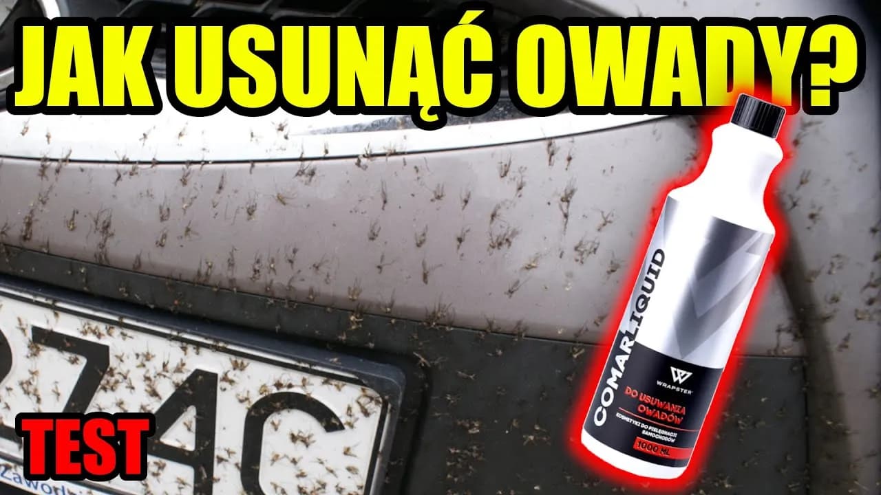 Jak usunąć owady z karoserii i uniknąć uszkodzeń lakieru